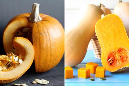 Butternut Squash vs Pumpkin - The Complete Guide - The Kitchen Journal