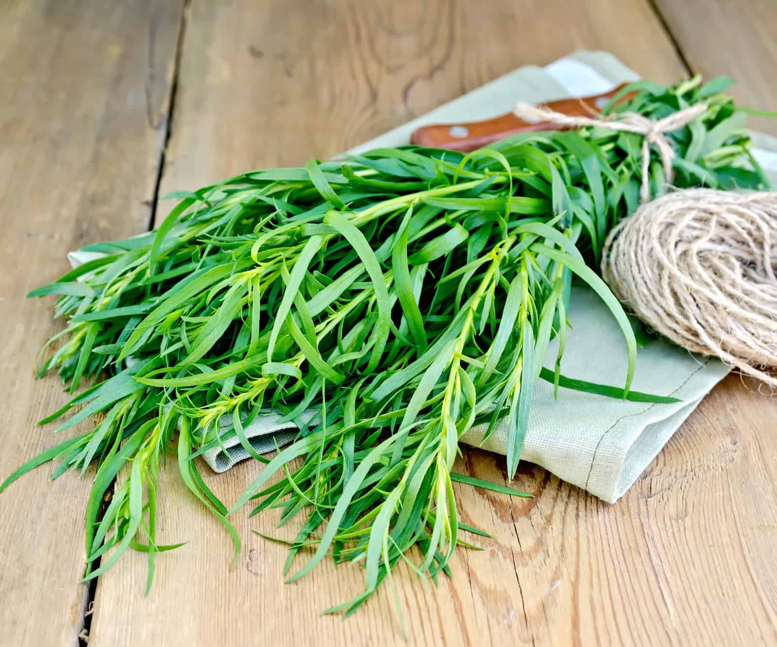 10 Best Substitutes For Tarragon The Kitchen Journal